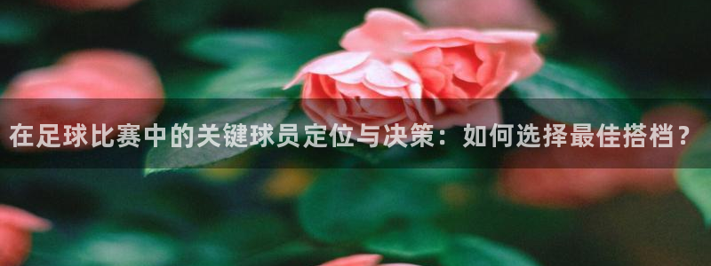  在足球比赛中的关键球员定位与决策：如何选择最佳搭档？