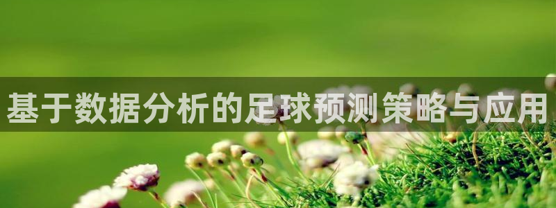 基于数据分析的足球预测策略与应用