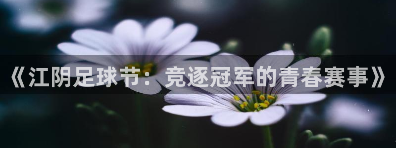  《江阴足球节：竞逐冠军的青春赛事》