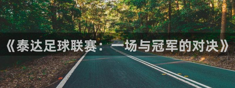 《泰达足球联赛：一场与冠军的对决》