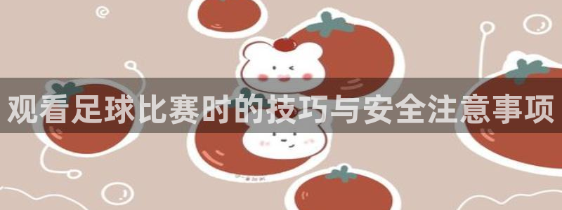 观看足球比赛时的技巧与安全注意事项