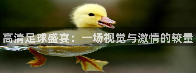 高清足球盛宴：一场视觉与激情的较量