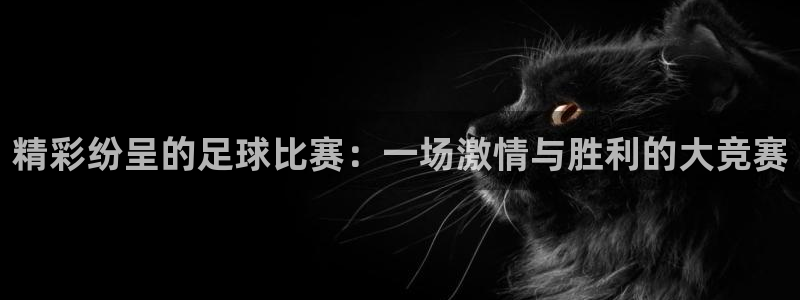 精彩纷呈的足球比赛：一场激情与胜利的大竞赛
