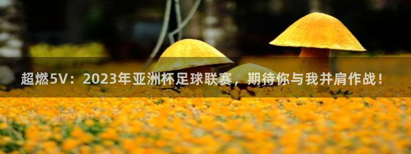  超燃5V：2023年亚洲杯足球联赛，期待你与我并肩作战！