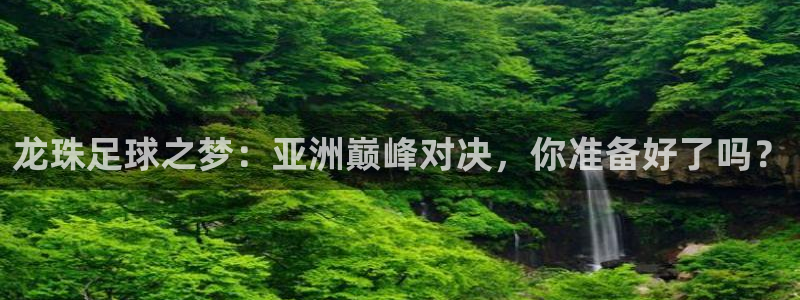  龙珠足球之梦：亚洲巅峰对决，你准备好了吗？