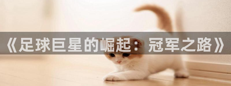 《足球巨星的崛起：冠军之路》