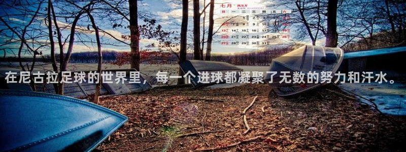  在尼古拉足球的世界里，每一个进球都凝聚了无数的努力和汗水。