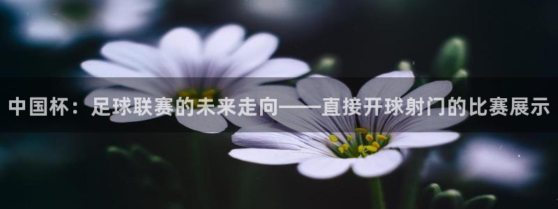 中国杯：足球联赛的未来走向——直接开球射门的比赛展示