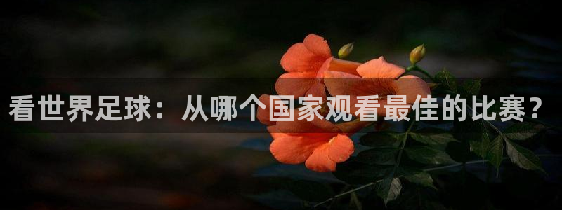  看世界足球：从哪个国家观看最佳的比赛？