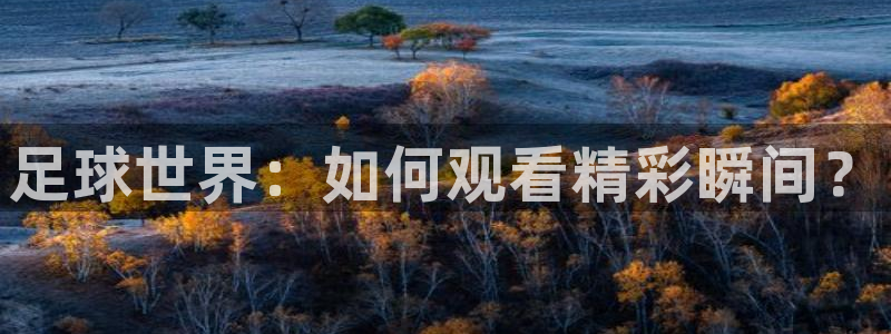 足球世界：如何观看精彩瞬间？