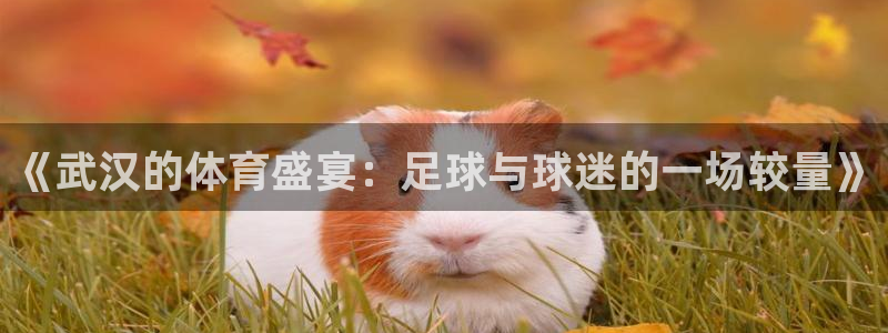  《武汉的体育盛宴：足球与球迷的一场较量》