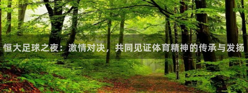  恒大足球之夜：激情对决，共同见证体育精神的传承与发扬