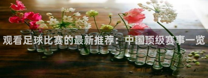  观看足球比赛的最新推荐：中国顶级赛事一览