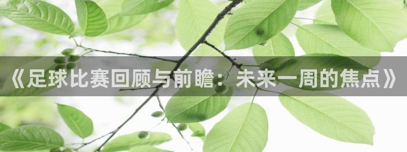  《足球比赛回顾与前瞻：未来一周的焦点》