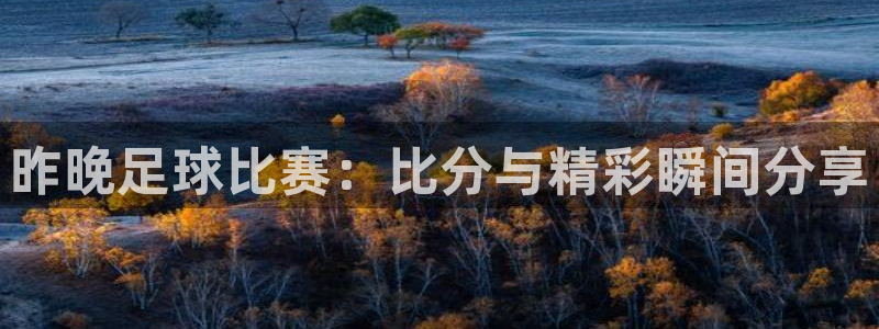 昨晚足球比赛：比分与精彩瞬间分享