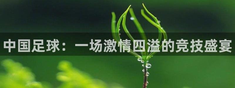  中国足球：一场激情四溢的竞技盛宴