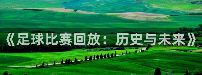  《足球比赛回放：历史与未来》