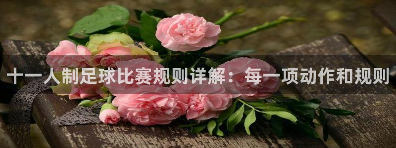 十一人制足球比赛规则详解：每一项动作