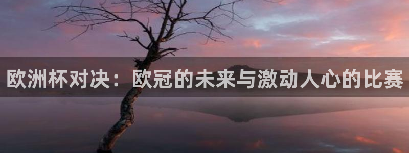 欧洲杯对决：欧冠的未来与激动人心的比