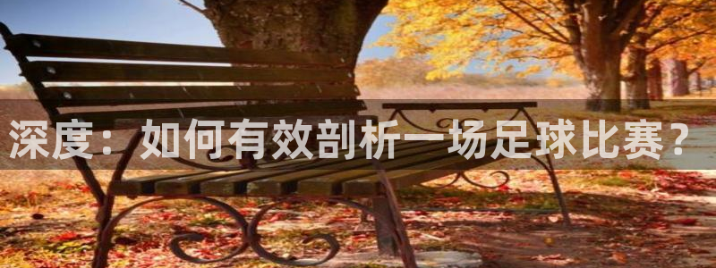 深度：如何有效剖析一场足球比赛？