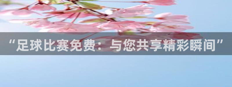 “足球比赛免费：与您共享精彩瞬间”
