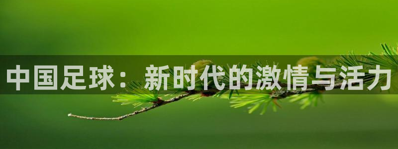 中国足球：新时代的激情与活力