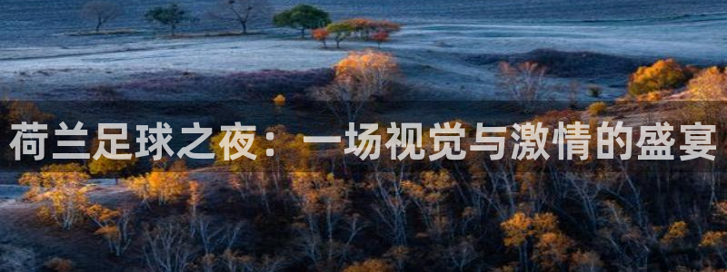 荷兰足球之夜：一场视觉与激情的盛宴