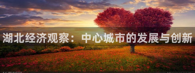 直播五星体育频道：湖北经济观察：中心城市的发展与创新
