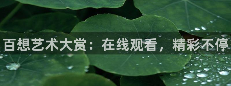 上海电视台五星体育节目单：百想艺术大赏：在线观看，精彩不停