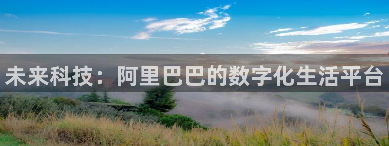 五星体育直播流：未来科技：阿里巴巴的数字化生活平台