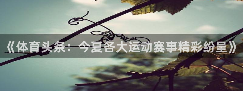 上海五星体育手机在线观看：《体育头条：今夏各大运动赛事精彩纷呈》