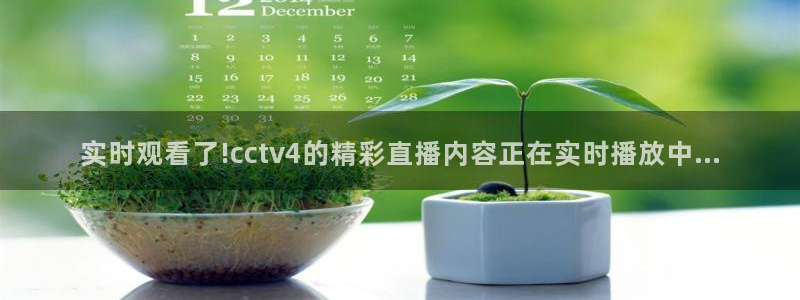 五星体育上海：实时观看了!cctv4的精彩直播内容正在实时播放中...