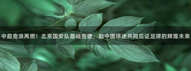 五星体育频道在线直播观看f1：中超竞浪再燃！北京国安队首战告捷，助中国球迷共同见证足球的辉煌未来