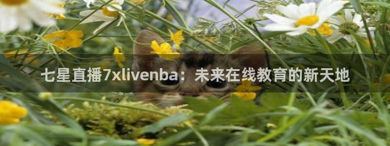 五星体育官网直播：七星直播7xlivenba：未来在线教育的新天地