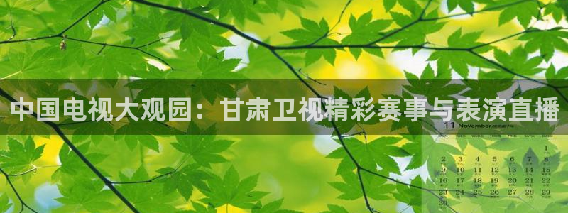 五星体育频道节目单：中国电视大观园：甘肃卫视精彩赛事与表演直播