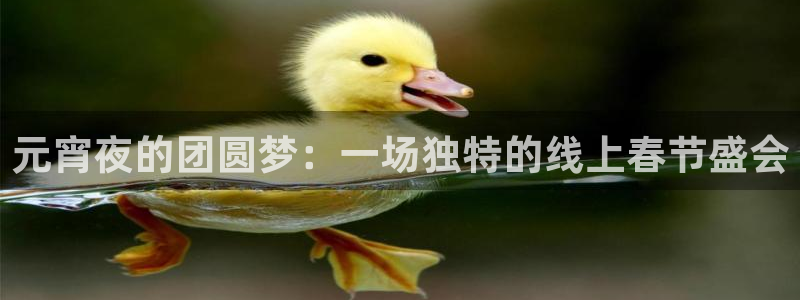 手机上看五星体育：元宵夜的团圆梦：一场独特的线上春节盛会