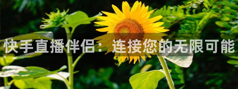 五星体育在哪看直播：快手直播伴侣：连接您的无限可能
