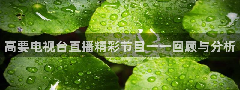 f1直播 五星体育：高要电视台直播精彩节目一一回顾与分析